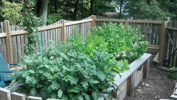 organic raised garden boxes, gardening, homesteading, raised garden beds