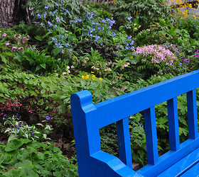 garden tour merlin s hollow, flowers, gardening, The bright blue bench in the Rock and Water Garden