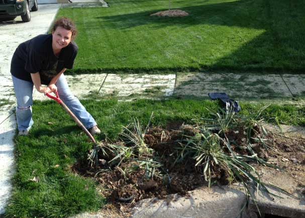 get the yucca out of my yard, Digging up the Yucca