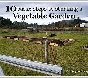 10 basic steps to grow your own food, gardening, homesteading