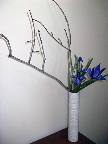flower arranging tips, flowers, gardening