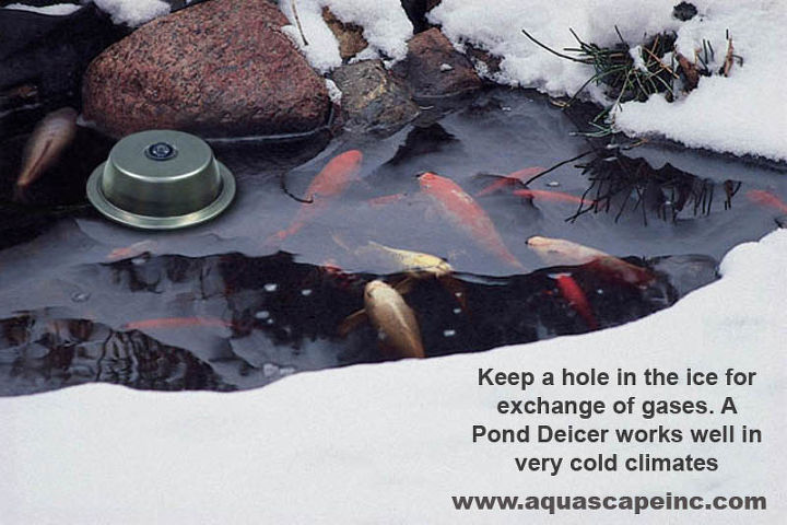 como invernar sua lagoa, Em climas muito frios pode ser necess rio usar um descongelador de lagoa para manter um buraco no gelo para trocas gasosas