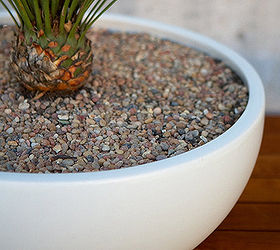 how to make a modern indoor echeveria planter win the planter, flowers, gardening, succulents, Here is another idea of how it could be planted