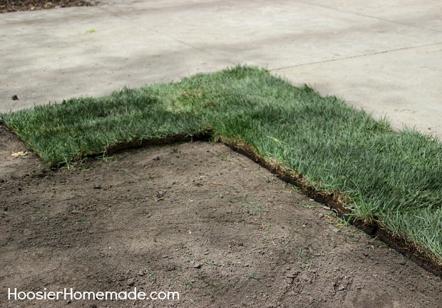 7 tips for homeowners when installing sod, landscape