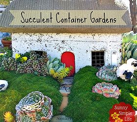 succulent container gardens, container gardening, flowers, gardening, succulents