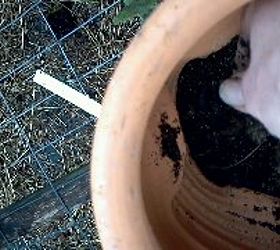 how to plant a strawberry jar that lives, gardening, Plant in layers Sprinkle pelleted or slow release fertilizer in each layer