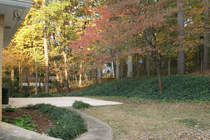 the spring view of the path to our backyard patio at home the large dogwoods define, outdoor living, patio, This is what it looked like when we purchased the house 4 years ago