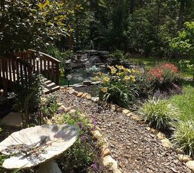 first pond ever, outdoor living, patio, ponds water features, Water gardens today 6 26 13