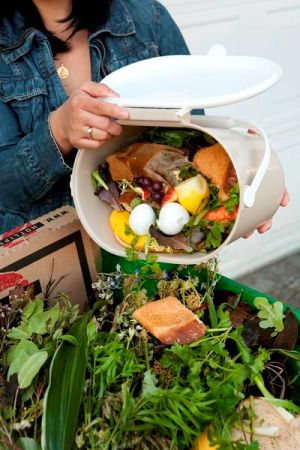kitchen counter composting, composting, go green, homesteading, All vegetable kitchen scraps plus eggshells and coffee grounds can be stored for a few days odor free with a tight fitting lid