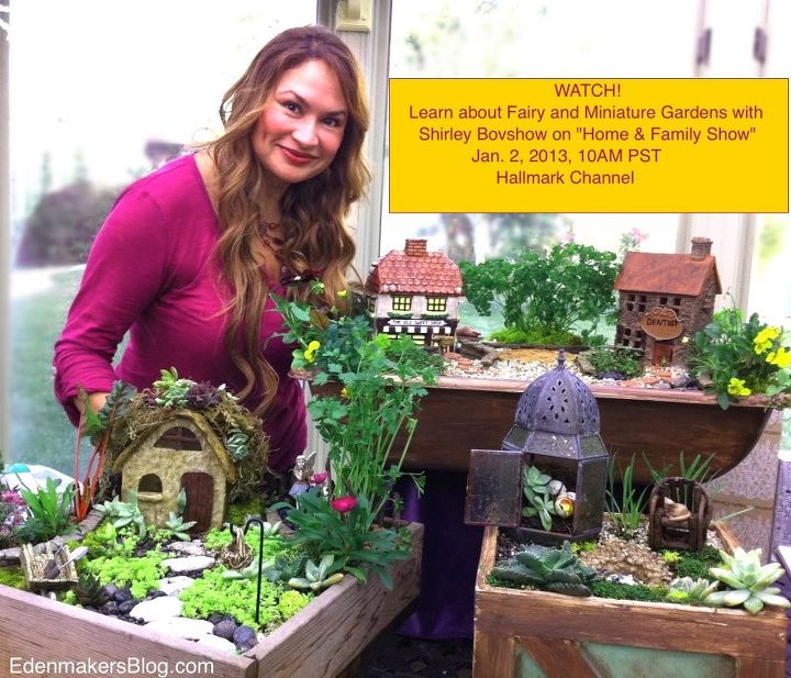 watch fairy amp mini gardens on hallmark channel s home amp family show, gardening, Shirley Bovshow with some of her fairy and mini gardens presented on Home Family show Hallmark channel