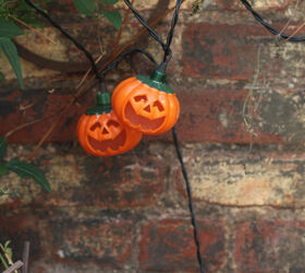 halloween in my urban garden jack o lanterns are birdwatchers, container gardening, flowers, gardening, halloween decorations, outdoor living, pets animals, seasonal holiday decor, succulents, urban living, Pumpkin Lights Share Trivets With Autumn Clematis View 1 INFO on trailing habits of Autumn Clematis AND