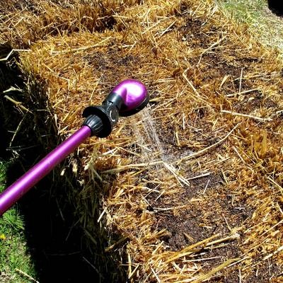 straw bale gardening, gardening, Condition your bales with water and fertilizer for two weeks