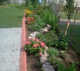my large landscape project, flowers, gardening, landscape, This started out with a clean slate nothing was there after all the bushes were removed After I had the cobblestone walkway put in I went to work on the plantings I still have to plant the flowering trees and sink the stones