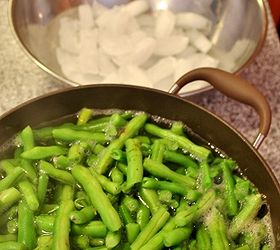 how to freeze green beans from the garden, gardening, Transfer the beans into an ice bath for 2 minutes