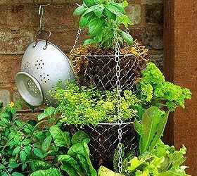 diy herb container garden, container gardening, gardening, The challenge was finding potted herbs at this late summertime date I ended up finding a few at my local home improvement store and a few in the produce section of my grocery store