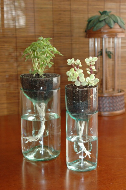 ideas on how to recycle wine bottles, self watering planter made from recycled wine bottle