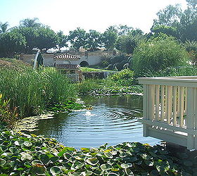 ponds and streams, landscape, outdoor living, ponds water features