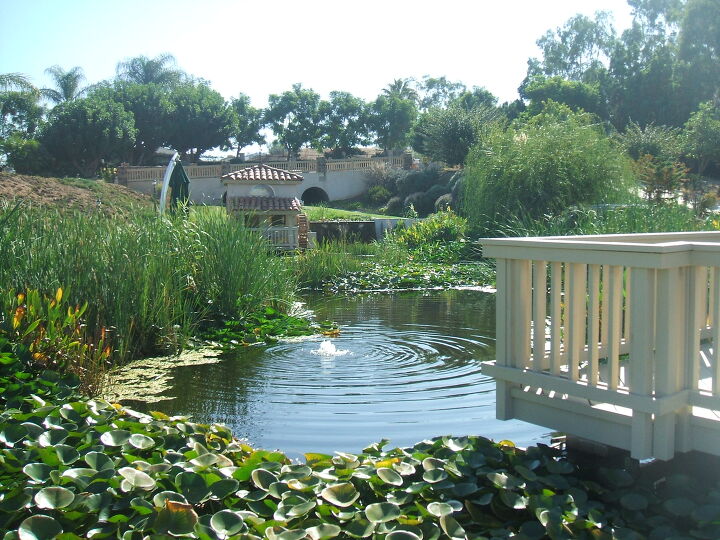 ponds and streams, landscape, outdoor living, ponds water features