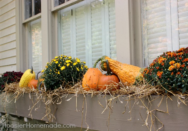 outdoor decorating for fall, porches, seasonal holiday decor, The window boxes are filled with mums pumpkins gourds and straw