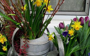 ¡Bienvenida la primavera! ¡Es hora de cambiar las jardineras!