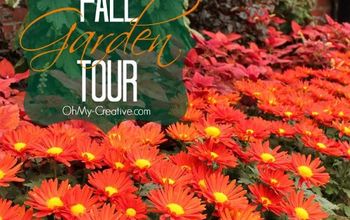Fall Flower Garden Tour