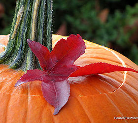 looking for a fun way to display your pumpkins this year, gardening, seasonal holiday d cor