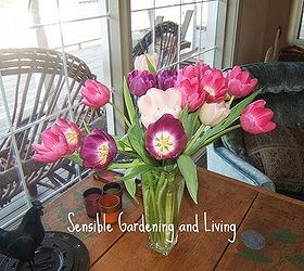 quick tulip tips, flowers, gardening, Tulips make excellent cut flowers