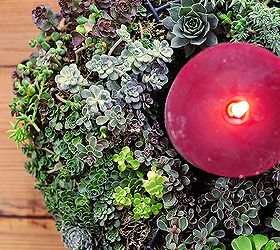 5 gorgeous ways to use succulents, flowers, gardening, succulents, terrarium, A candle ring takes a little white to arrange but WOW such impact source Harry and David