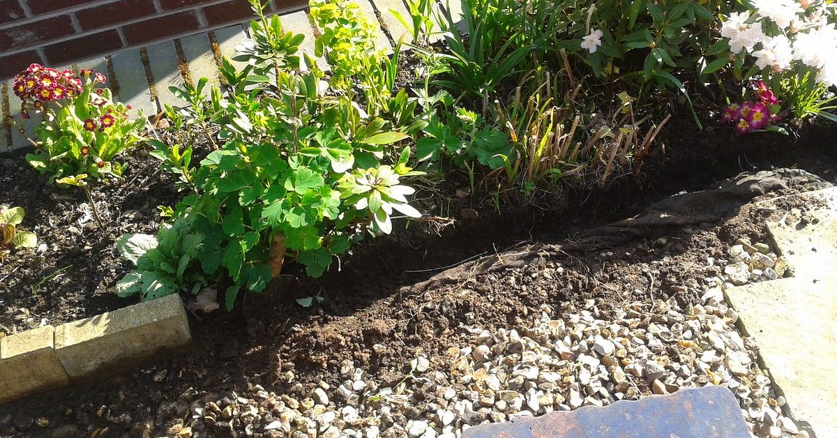 Cheap Attractive Garden Border Edging | Hometalk