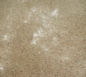 The Easiest Homemade Carpet Cleaner (and Why It Works!) Hometalk