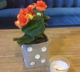 Milk Carton Turned Into a Planter! Hometalk