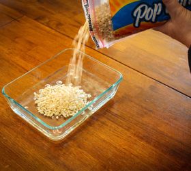 How to Grow Popcorn Shoots Hometalk