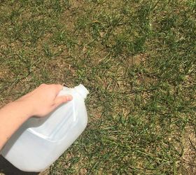 Easy Way To Fix Burnt Grass And Dog Urine Spots Hometalk