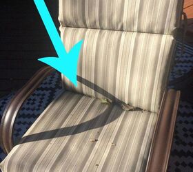 How I Keep the Falling Leaves Off My Patio Chair Cushions Hometalk