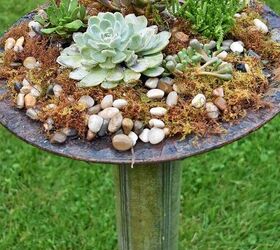 How to transform a birdbath into an amazing succulent planter | Hometalk