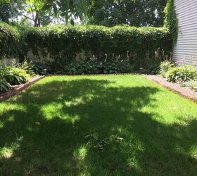 How she turned an empty corner of her yard into a literal secret garden