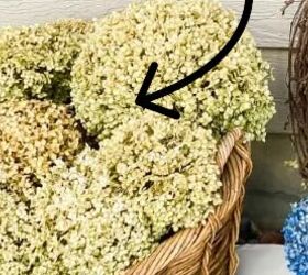 Lots of people turn their hydrangeas blue, but here's one obvious method we've never actually seen
