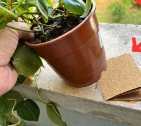 The brilliant reason everyone should put a piece of sandpaper under their planters today