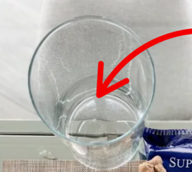 Instead of flowers, she just came up with the most unique thing to display in a spare glass vase