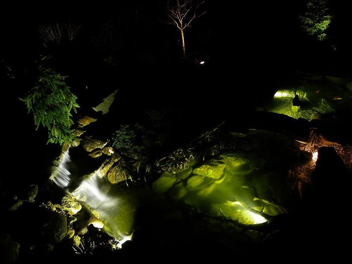 landscape and pond lighting, lighting, outdoor living, ponds water features
