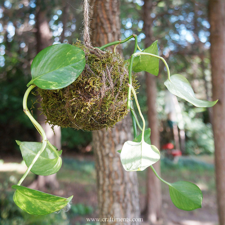 kokedama from plant cuttings, container gardening, gardening