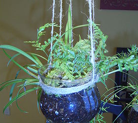 Mini Hanging planters