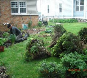 my large landscape project, flowers, gardening, landscape, I had all bushes in front and yard removed removed