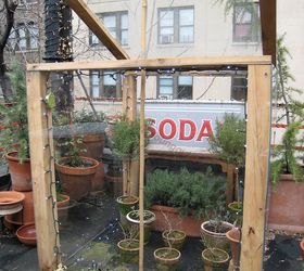 urban garden winterizing update, container gardening, diy, flowers, gardening, perennial, seasonal holiday decor, urban living, Cold Frame Year One Featured in I ve never seen a billboard lovely as a tree