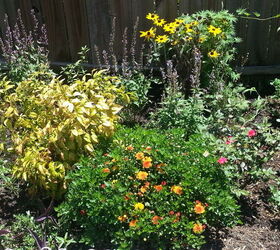 q what could i do to make my frontyard garden pop, gardening, outdoor living