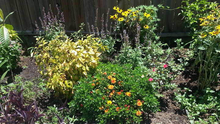 q what could i do to make my frontyard garden pop, gardening, outdoor living