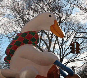 id needed re characters in entertainment, seasonal holiday d cor, thanksgiving decorations, An unidentified bird marches flies in Macy s 2013 Thanksgiving Parade View Two at CPW