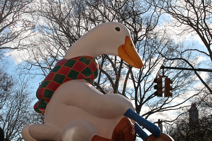 id needed re characters in entertainment, seasonal holiday d cor, thanksgiving decorations, An unidentified bird marches flies in Macy s 2013 Thanksgiving Parade View Two at CPW