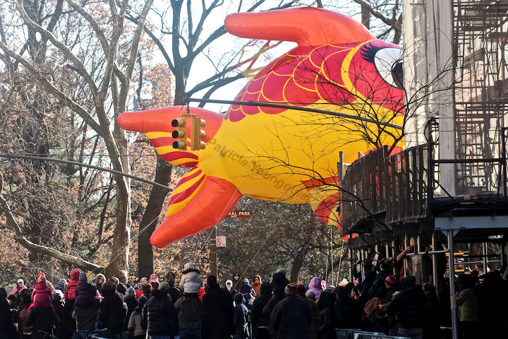 id needed re characters in entertainment, seasonal holiday d cor, thanksgiving decorations, An unidentified fish marches swims out of water in Macy s 2013 Thanksgiving Parade View Six at CPW Image featured