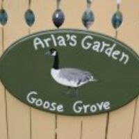 Goose Grove
